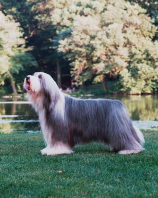 Skyler at Lake